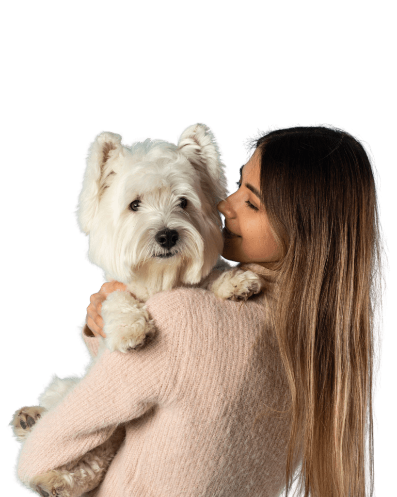autolavado de perros